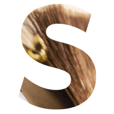 Gilding sundries