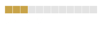 "Michelangelo" Range of brushes